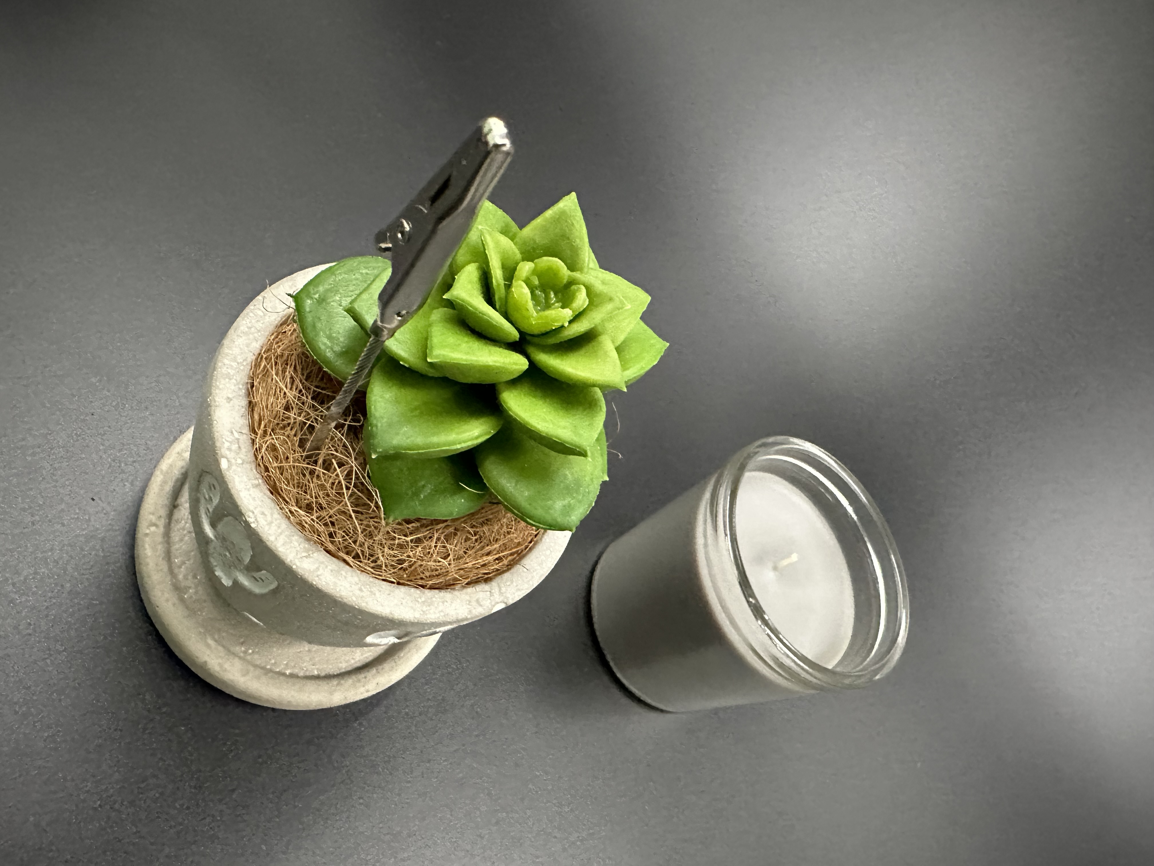 擬真植物留言夾